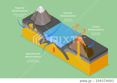 3D Isometric Flat Vector Conceptual Illustration of Metamorphism 104374001