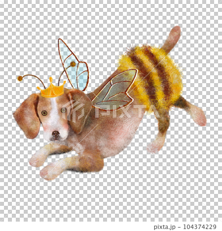 Beagle dog in a bee costume 104374229