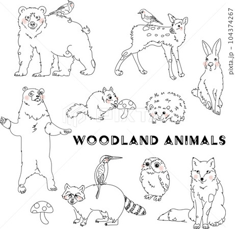 森の動物たち 線画のイラスト素材 [104374267] - PIXTA