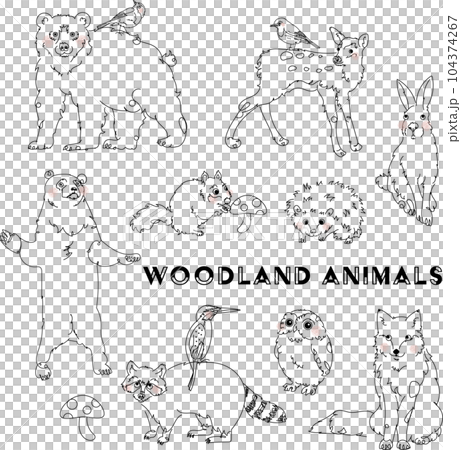 Forest animals line drawing 104374267