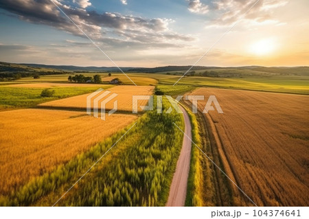 Summer landscape at sunset. Farm, agricultural fields, countryside, country road. Generative AI 104374641
