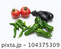 夏野菜(トマト・ししとう・ピーマン・なす)　白バック 104375309