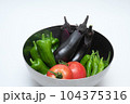 ボールに入ってる夏野菜　(トマト・ピーマン・ししとう・ナス)　白バック 104375316