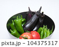 ボールに入ってる夏野菜　(トマト・ピーマン・ししとう・ナス)　白バック 104375317