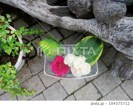 ハーブ庭園, 富士河口湖 104375712