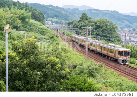 【東海道本線】茶畑の間を疾走する普通列車 【東海道本線】茶畑の間を疾走する普通列車 104375961