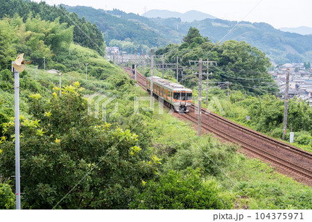 【東海道本線】茶畑の間を疾走する普通列車 104375971