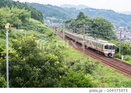 【東海道本線】茶畑の間を疾走する普通列車 【東海道本線】茶畑の間を疾走する普通列車 104375973