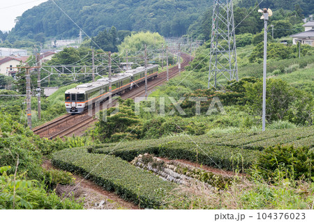 【東海道本線】茶畑の間を疾走する臨時列車 【東海道本線】茶畑の間を疾走する臨時列車 104376023
