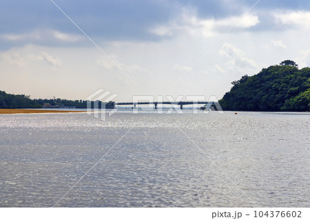 仲間川　(西表島　10月　晴れ) 104376602