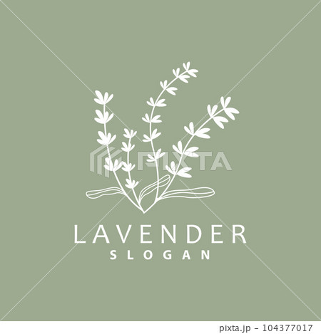 Lavender Logo, Simple Elegant Purple Flower Plant Vector, Greeting Card Design, Banner, Flower Ornament, Lavender Hand Drawn Wedding, Icon Symbol Illustration 104377017