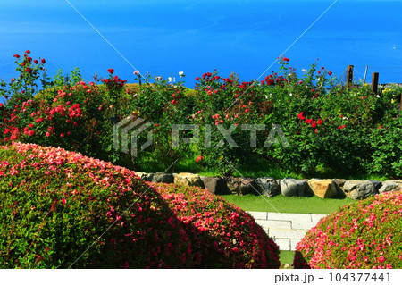 【福井県】三方五湖レインボーライン山頂公園からの眺望(若狭湾) 【福井県】三方五湖レインボーライン山頂公園からの眺望(若狭湾) 104377441