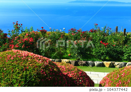 【福井県】三方五湖レインボーライン山頂公園からの眺望(若狭湾) 【福井県】三方五湖レインボーライン山頂公園からの眺望(若狭湾) 104377442