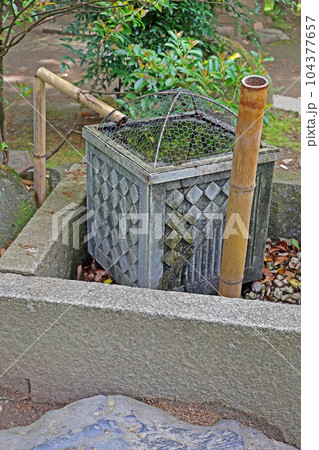 武田神社(甲府) 武田神社(甲府) 104377657