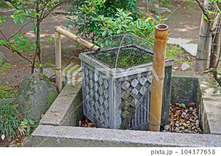 武田神社（甲府） 104377658