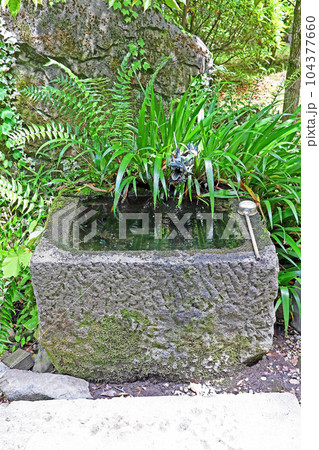 武田神社（甲府） 104377660