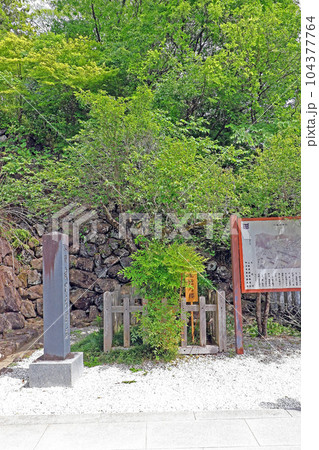 武田神社(甲府) 武田神社(甲府) 104377764
