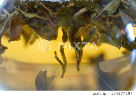 ポットの紅茶、ファーストフラッシュティー ポットの紅茶、ファーストフラッシュティー 104377897