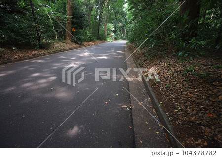 初夏、整備された山道の歩道と車道 初夏、整備された山道の歩道と車道 104378782