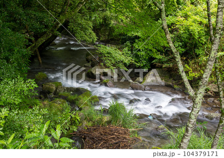 新緑のころ立岩水源の風景 104379171