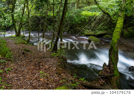 新緑のころ立岩水源の風景 新緑のころ立岩水源の風景 104379178