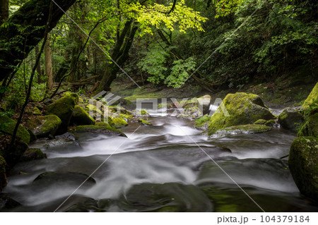 新緑のころ立岩水源の風景 新緑のころ立岩水源の風景 104379184