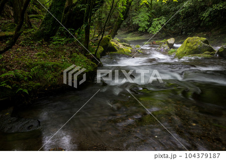 新緑のころ立岩水源の風景 新緑のころ立岩水源の風景 104379187