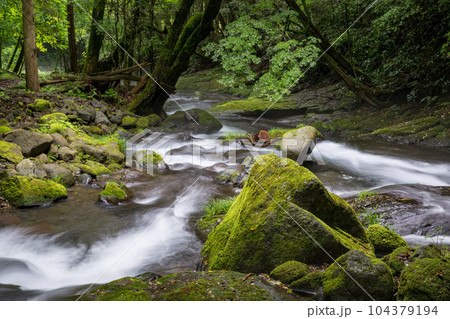 新緑のころ立岩水源の風景 新緑のころ立岩水源の風景 104379194