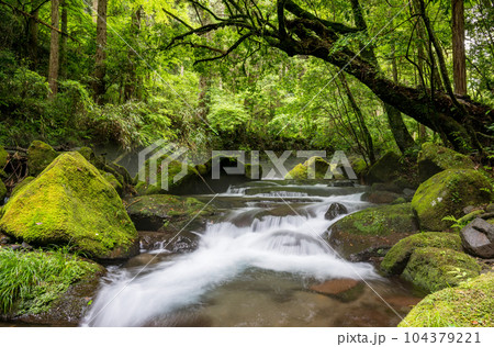新緑のころ立岩水源の風景 104379221