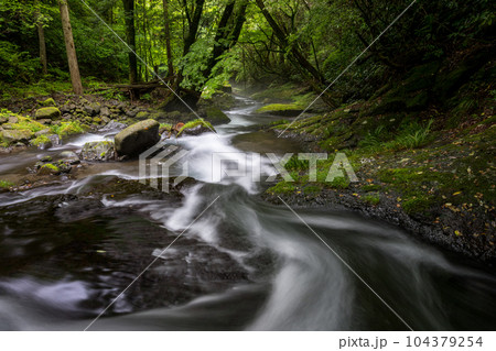 新緑のころ立岩水源の風景 新緑のころ立岩水源の風景 104379254