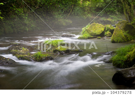 新緑のころ立岩水源の風景 104379278