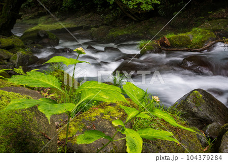 新緑のころ立岩水源の風景 新緑のころ立岩水源の風景 104379284