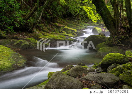 新緑のころ立岩水源の風景 104379291