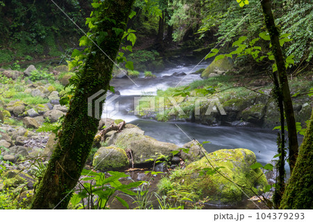 新緑のころ立岩水源の風景 新緑のころ立岩水源の風景 104379293