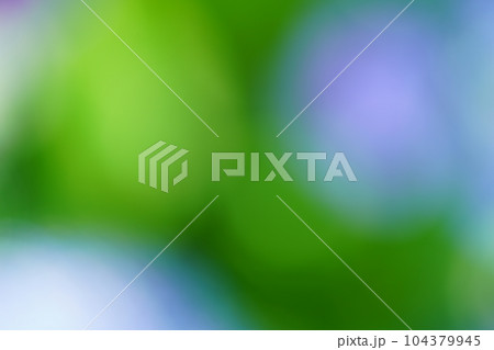 紫陽花の花と葉っぱのぼけぼけ背景素材 紫陽花の花と葉っぱのぼけぼけ背景素材 104379945