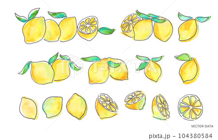 水彩画。水彩タッチのレモンベクターイラスト。夏のレモン挿絵。 104380584