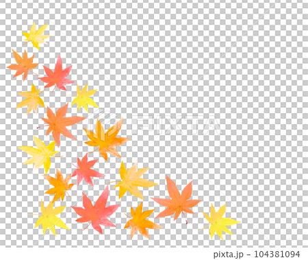 Maple decoration painted by watercolor Maple decoration painted by watercolor 104381094