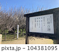 湯之宮座論梅（宮崎県新富町） 104381095