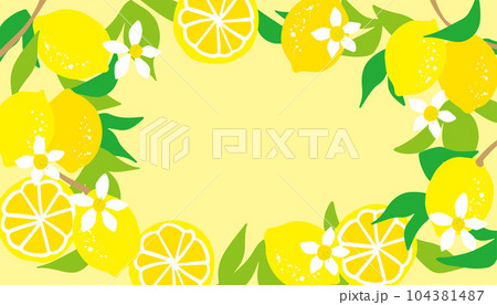 レモンの爽やかな背景イラスト 104381487