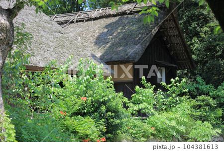 四国村ミウゼアム 河野家住宅主屋（1700年代前半、国指定重要文化財）と稲田家土蔵（登録有形文化財） 104381613