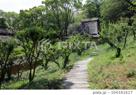 四国村ミウゼアム 小径が上原家砂糖しめ小屋へ向かう 104381617