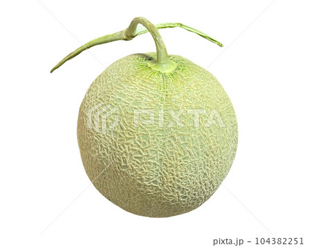 北海道産の完熟夕張メロン 104382251