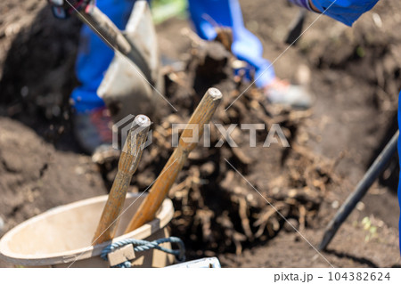 庭木の伐採 庭木の伐採 104382624
