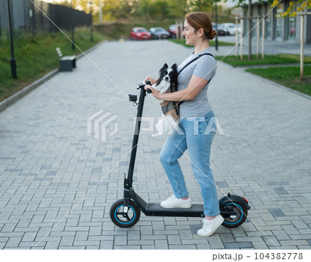 A woman rides an electric scooter with a dog in a backpack. Pappilion Spaniel Continental in a sling. A woman rides an electric scooter with a dog in a backpack. Pappilion Spaniel Continental in a sling. 104382778