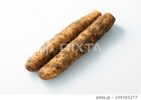 山芋・長芋・ながいも／新鮮野菜（白背景） 104383277