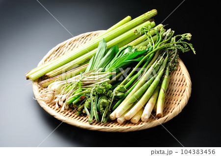 山菜ざる盛り・山菜盛り合わせ（黒背景） 104383456