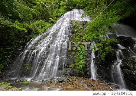 龍双ヶ滝（福井県今立郡池田町） 104384216