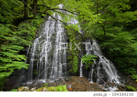 龍双ヶ滝(福井県今立郡池田町) 龍双ヶ滝(福井県今立郡池田町) 104384230
