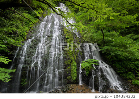 龍双ヶ滝（福井県今立郡池田町） 104384232