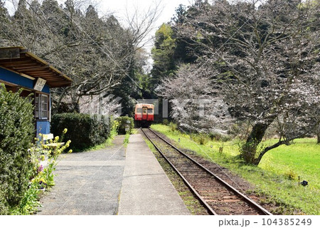 市原市　小湊鉄道線の飯給（いたぶ）駅ホームと車輛 104385249